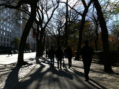 セントラル・パークの横を歩く