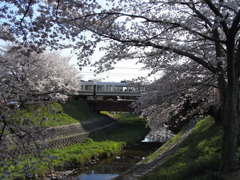 JR奈良線