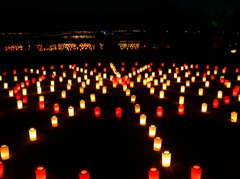 奈良　燈花会（とうかえ）／春日野園地にて