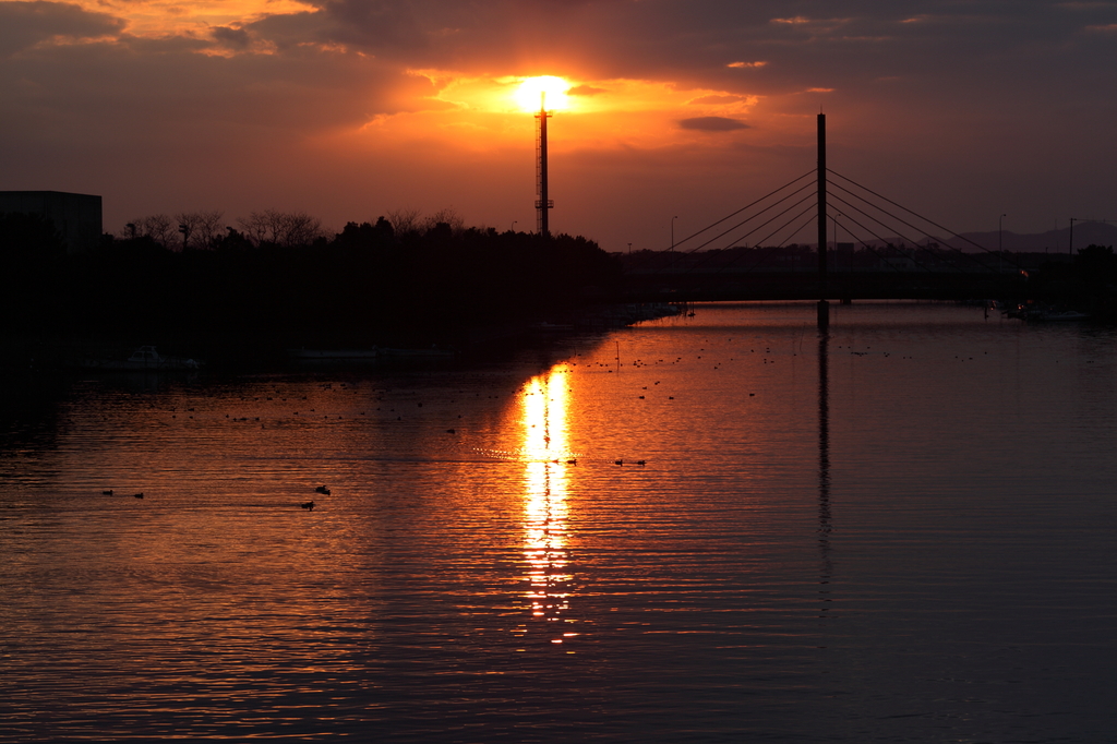 太陽の塔　（富津運河）