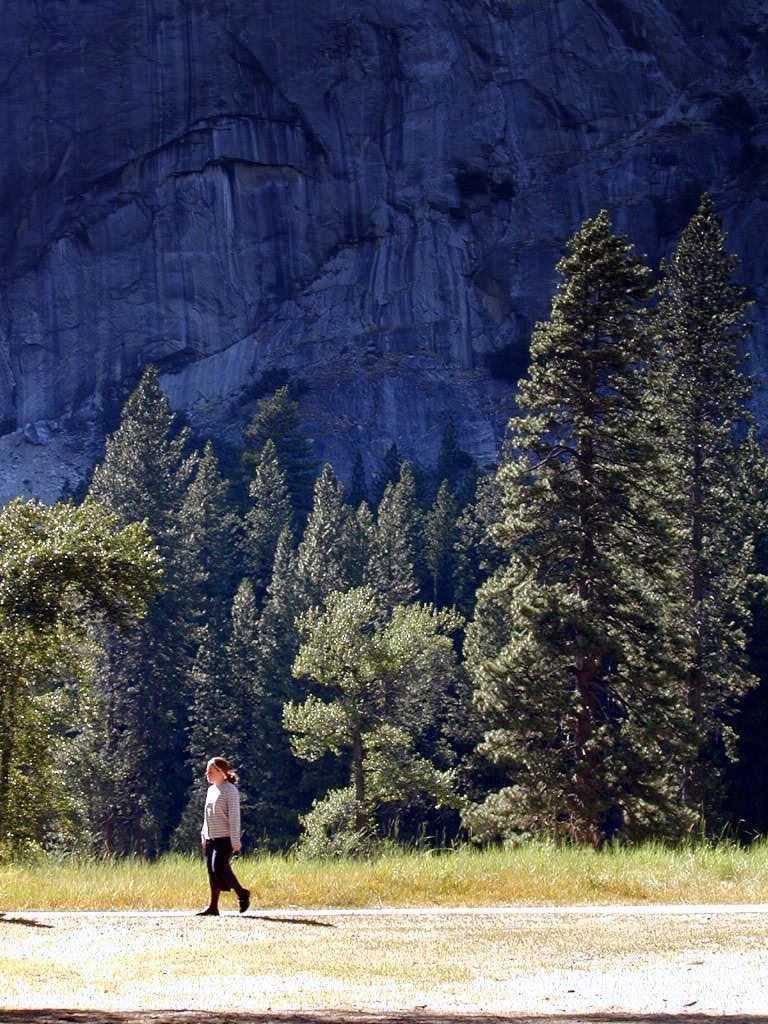 散歩 in Yosemite