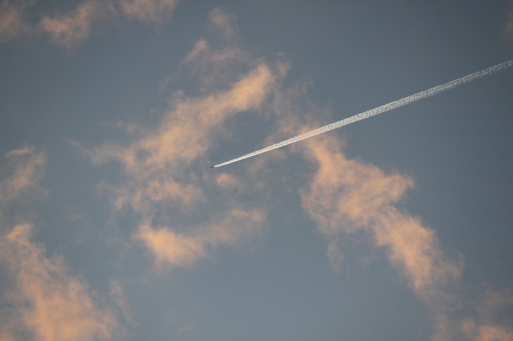 飛行機