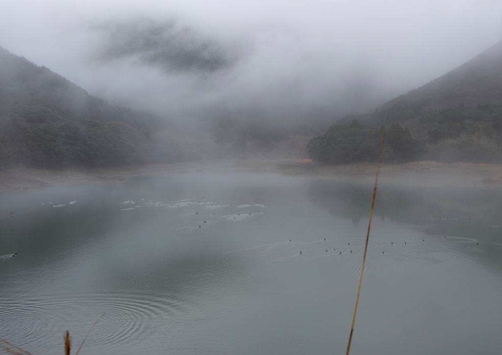 霧の湖