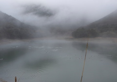 霧の湖