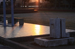 夕日の公園
