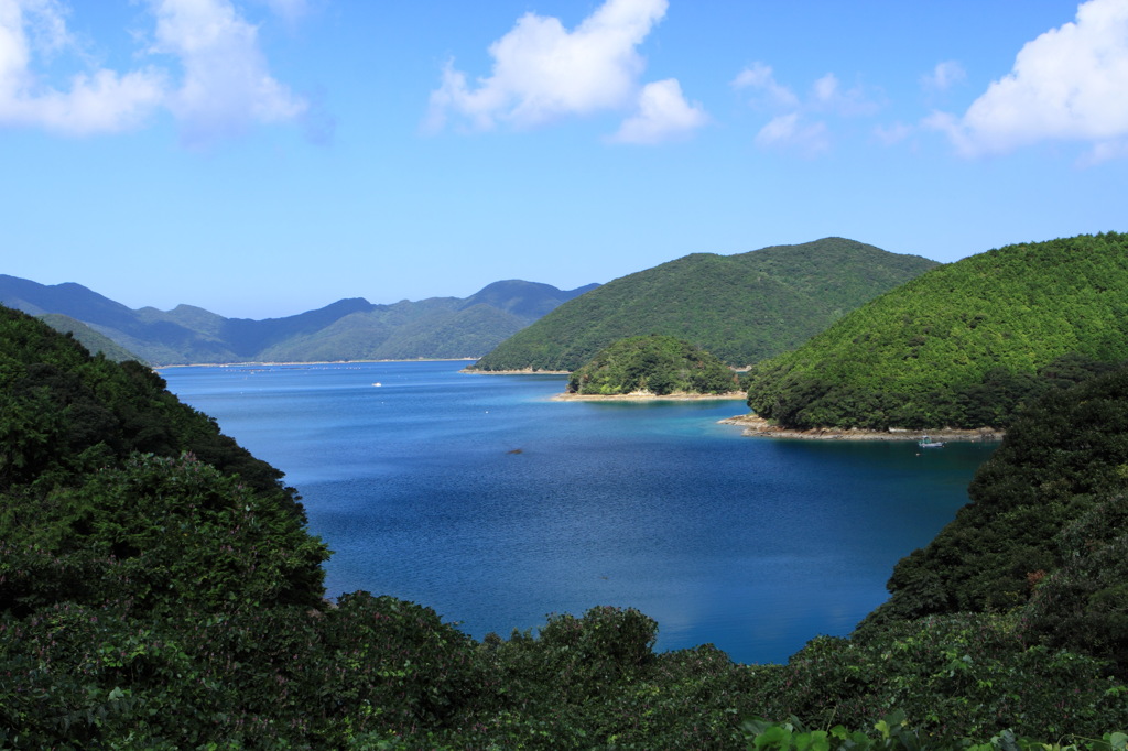 夏の終わり・・
