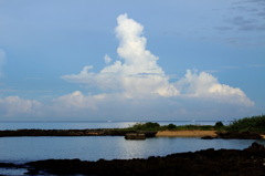 夏風景