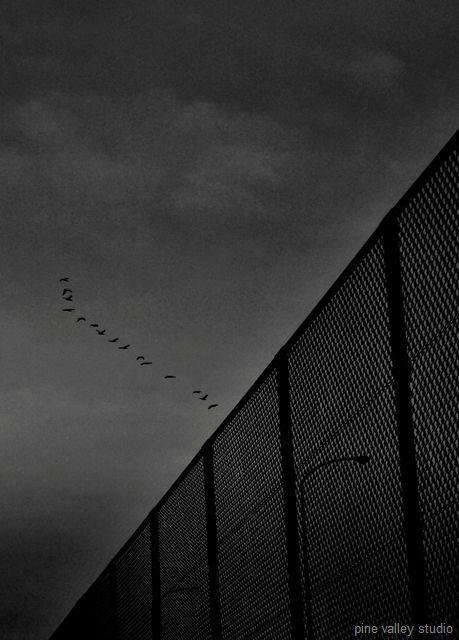 the rhythm of the black & white. vol3