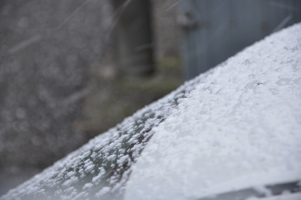 雪が降ってきた