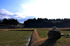 田園の春の訪れ