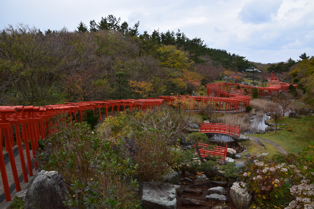 高山稲荷神社の千本鳥居２