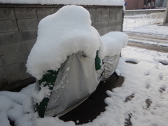 2018/01/23の雪景色２