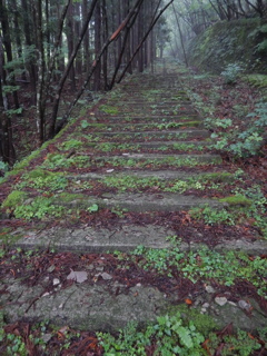 利平茶屋駅跡２