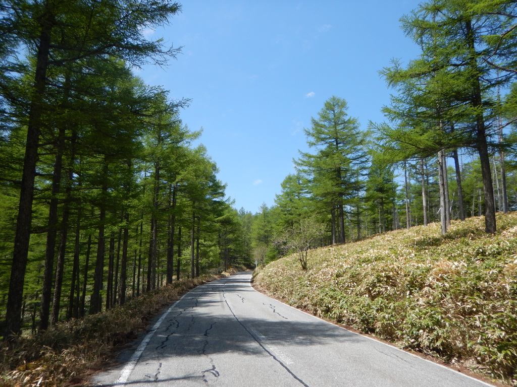 長野県道62号