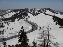志賀草津道路　雪の回廊３