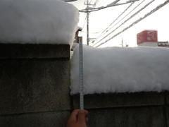 2018/01/23の雪景色１