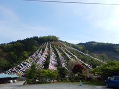 神流川の鯉のぼり