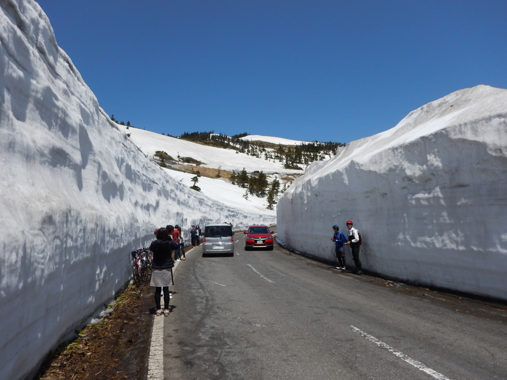 志賀草津道路　雪の回廊２