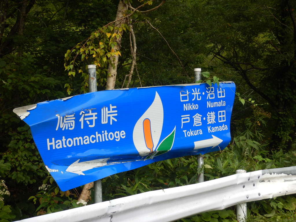 鳩待峠への看板２