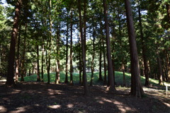 くれふしの里古墳公園１