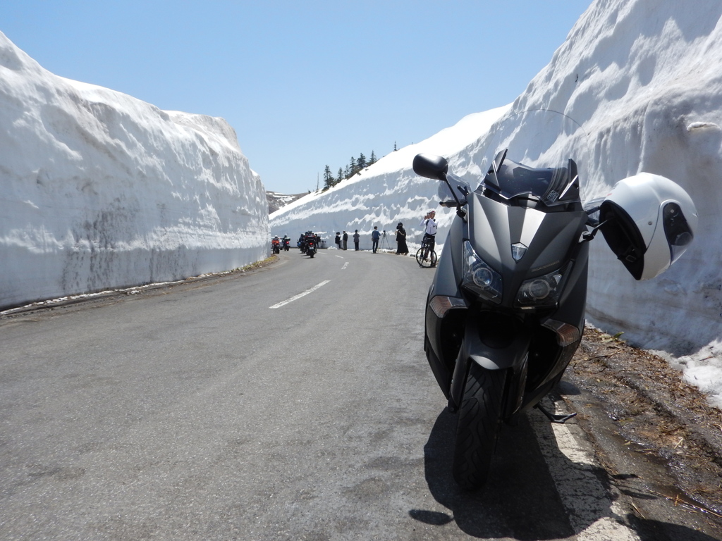 志賀草津道路　雪の回廊１