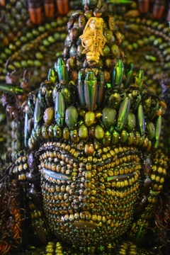 昆虫千手観音２