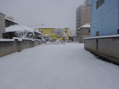 2018/01/23の雪景色３