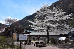 わたらせ渓谷鐵道の旅９