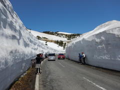 雪の回廊2017-1