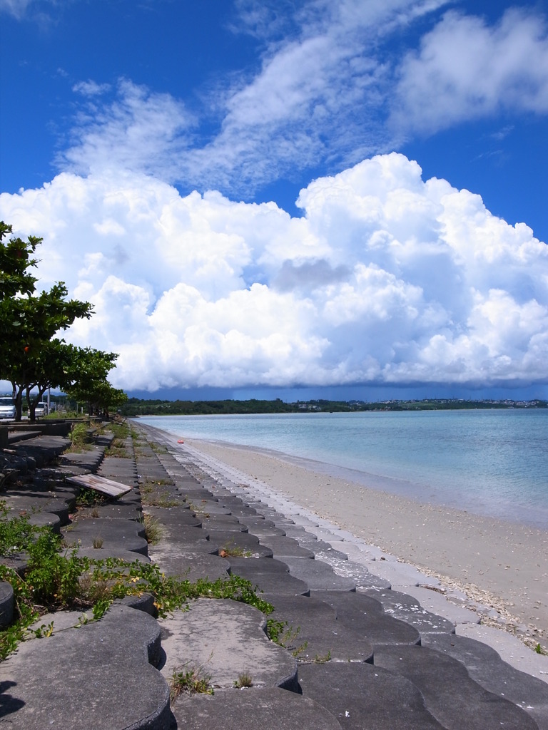 沖縄へ再び。