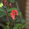 DSC05058