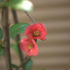 DSC05065