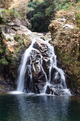 DSC09067