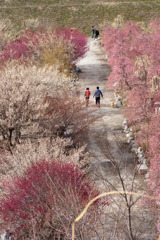 梅林公園