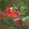 DSC05063