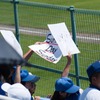 DSC06154