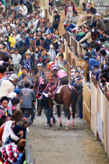 上げ馬神事