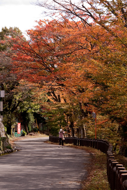 紅葉を撮影している人