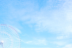 空を渡る。