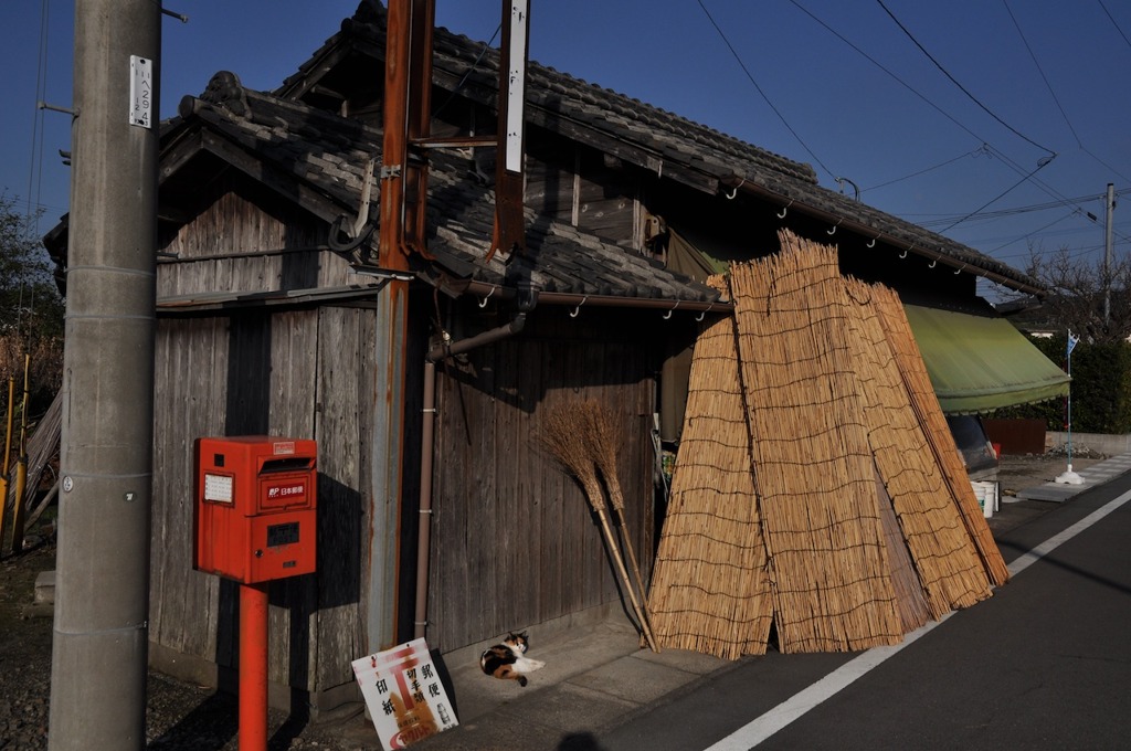 三毛猫のいる商店