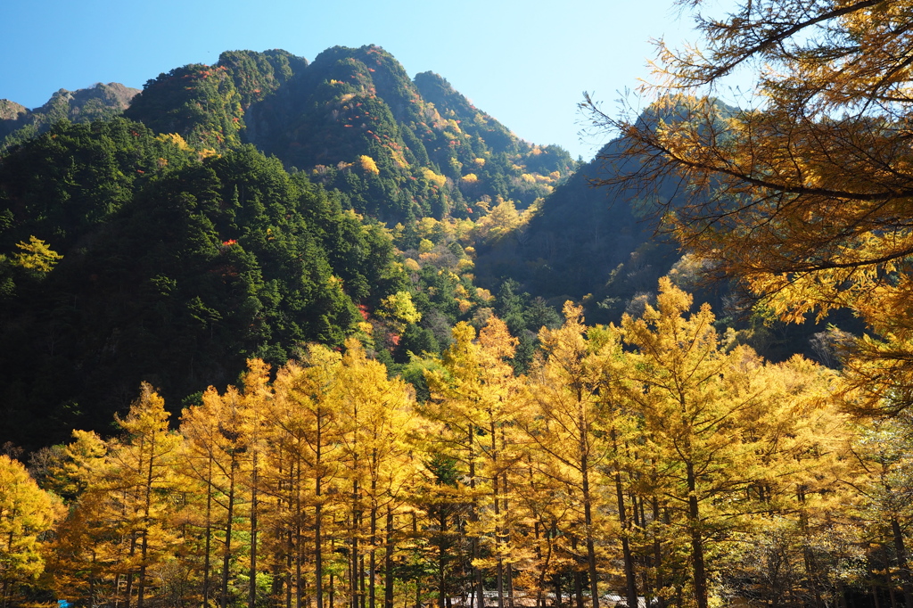 上高地バス停前