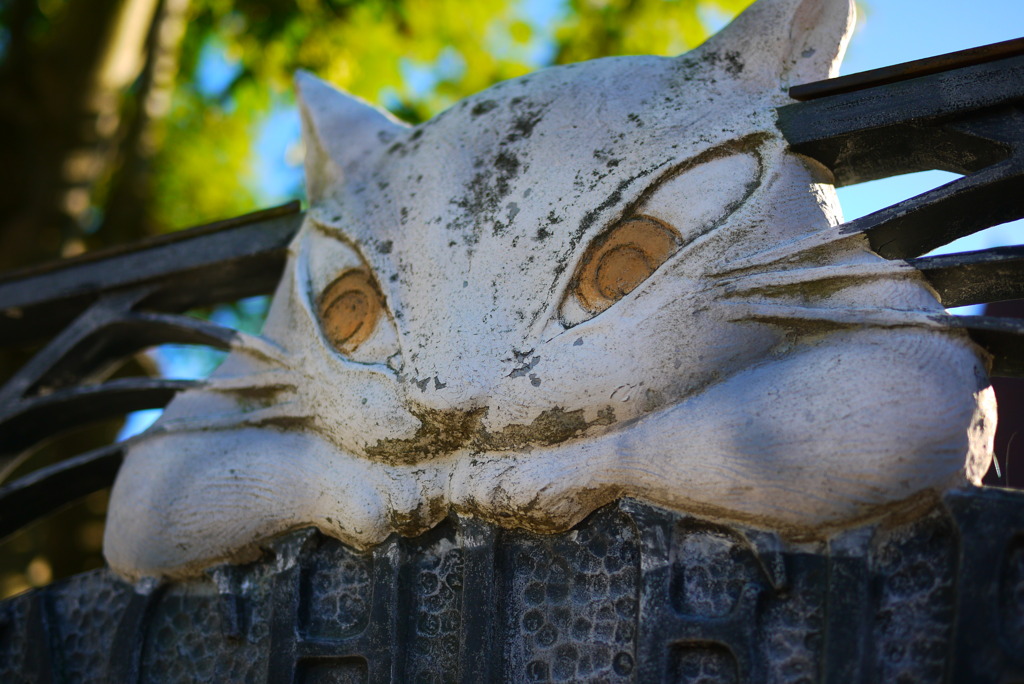 ねこ