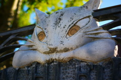 ねこ