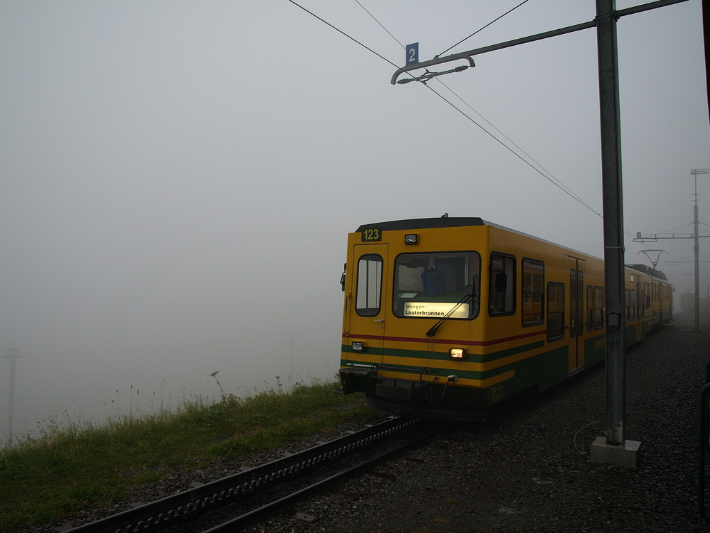 OM161146