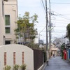 DSC_1427