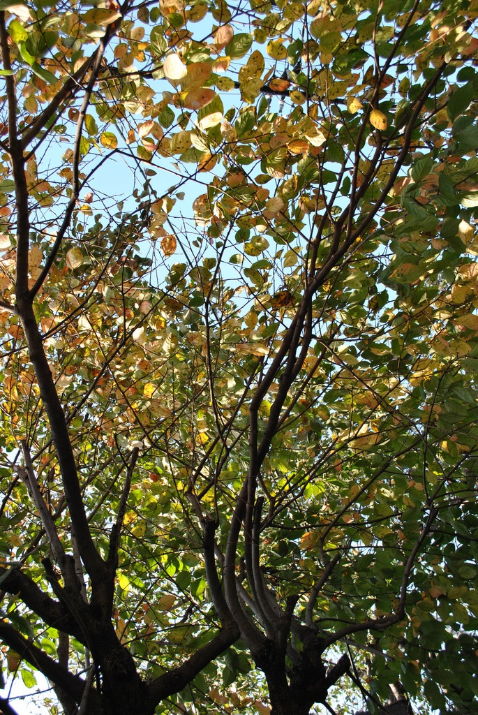 DSC_0120