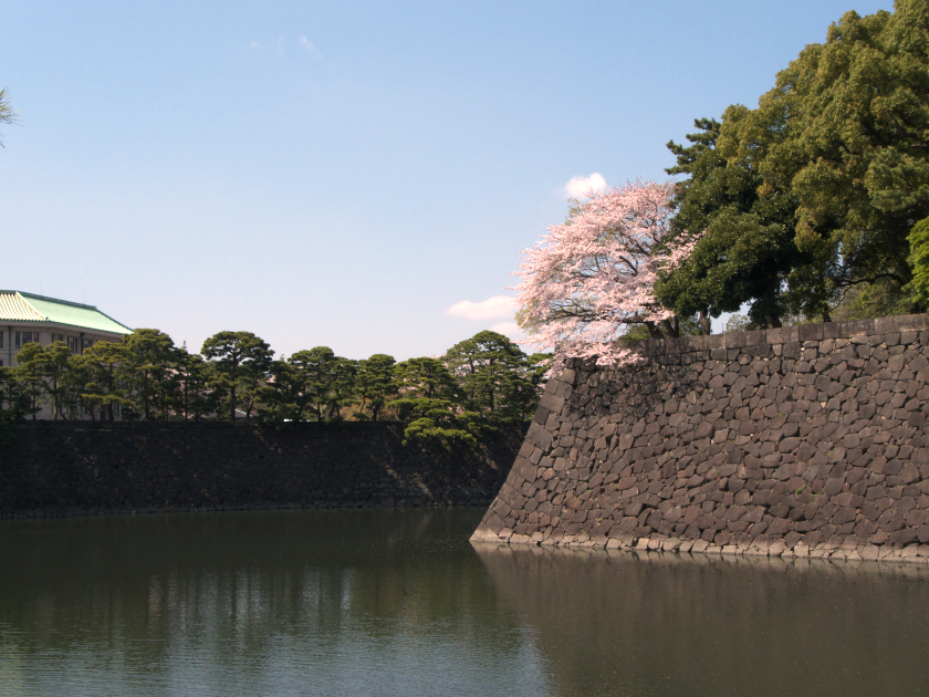 桜源郷