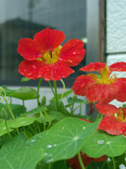 2010/05/24 浦安散歩 No.4