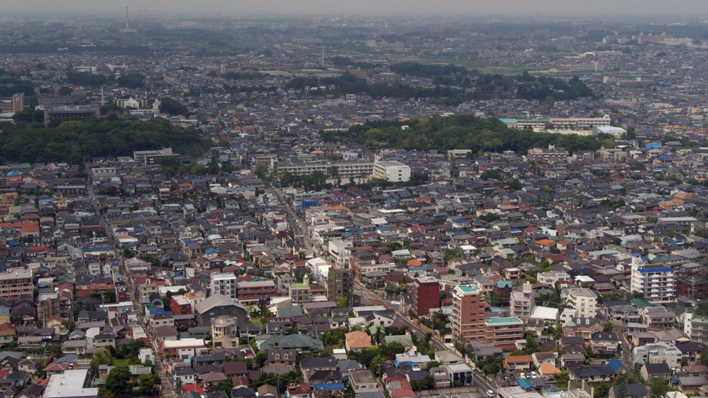 2010/06/11 市川散歩 No.5