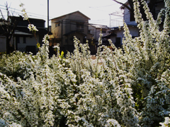 暖かな日差し